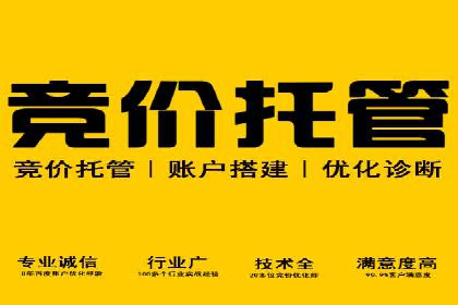搜索引擎营销（SEM）服务案例分享